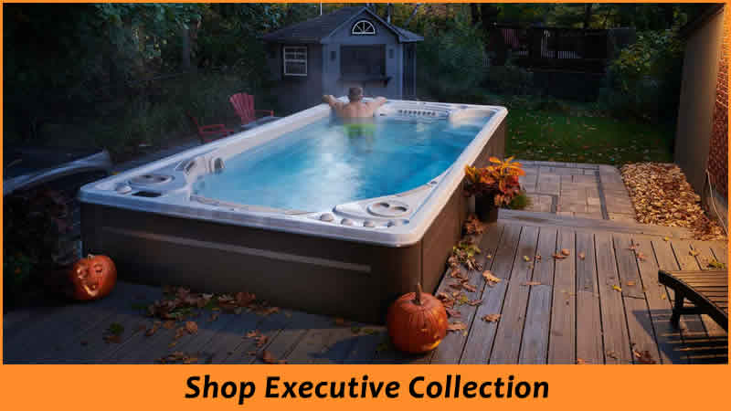 Executive Swim Spas Kansas City Hydropool